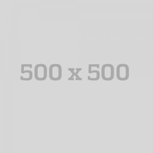 500x500 Dummy Image